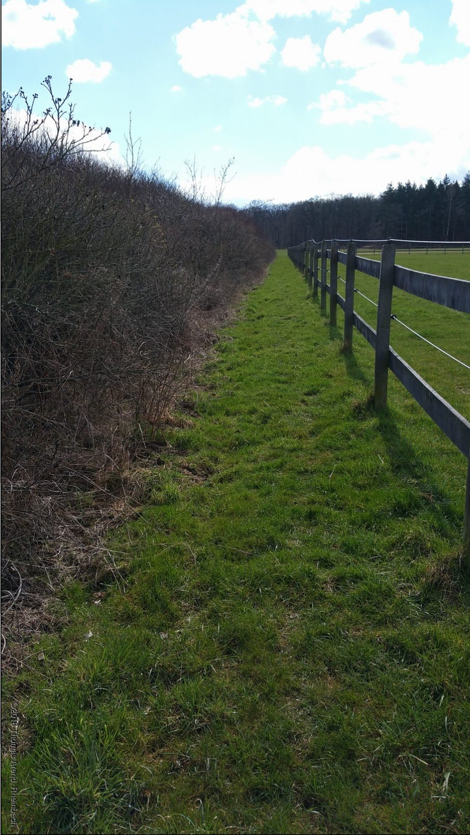 Weg entlang der Koppel